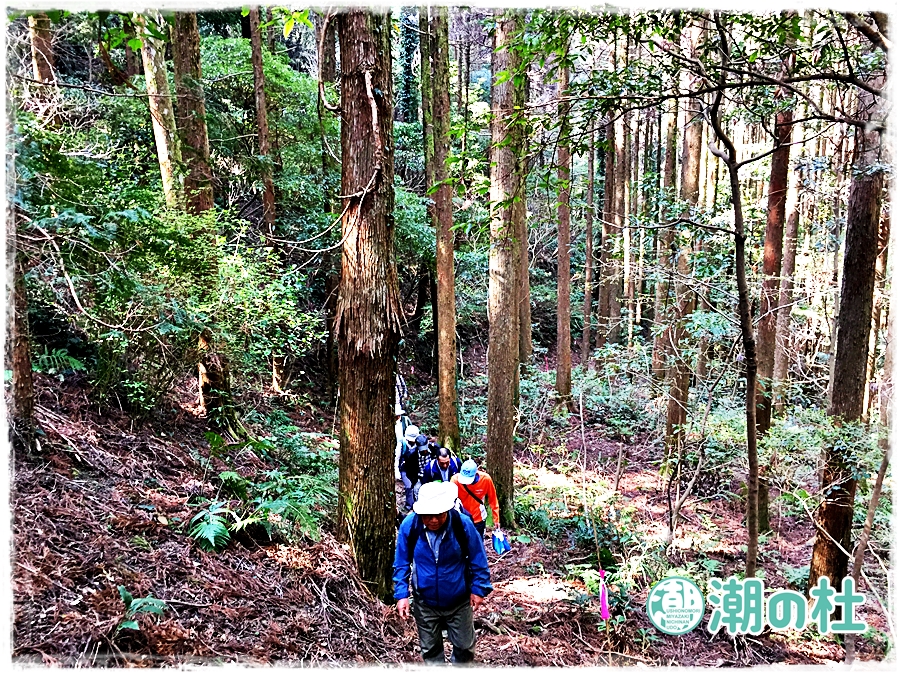 写真 2016-03-21 10 24 22-20160321